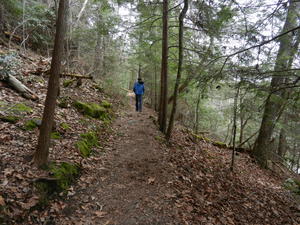 Another hike to Eagle Falls--on a rainy day.