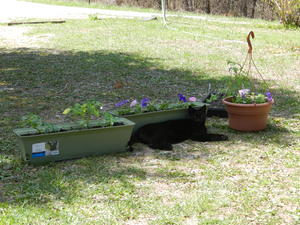 Claws making sure that nothing disturbs the flowers...