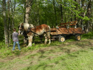 We drove to Tennessee for our friends, David and Caroline's wedding on their family farm. This was their get-away vehicle. :)