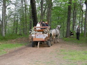 Then they went down the road, while we took a short cut through the woods.