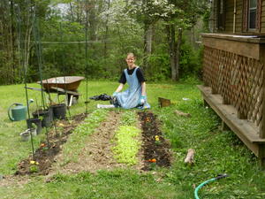 The garden is growing! The middle is lettuce, spinach, collards, and kale--ready for their first picking. The outsides are tomatoes, marigolds, and cabbage plants.