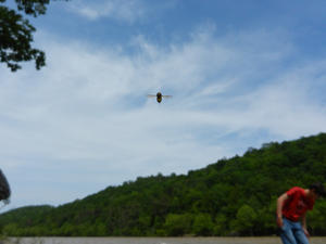 Daniel catching a photo of a sweat bee...