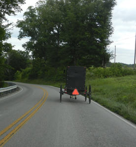 Kristina's Mother was so tickled to be able to see a horse and buggy on the way to the Mennonite store!