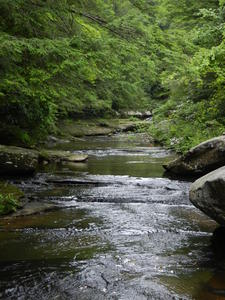 The creek up at the top.