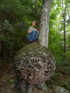 That's one big burl!