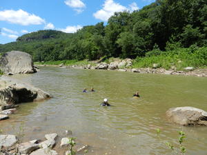 Swimming to cool off.