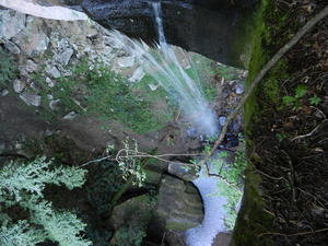 View from the top of the falls.