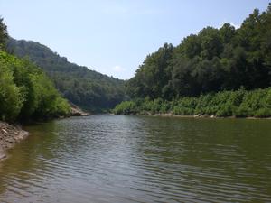 We took a spur-of-the-moment afternoon of fun at the Big South Fork for some canoeing and swimming, and dragged Kimberly along with us.