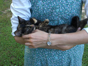 Here she is purring away, kneading her paws in the air.