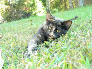 Marble is growing up and looking cuter every day!