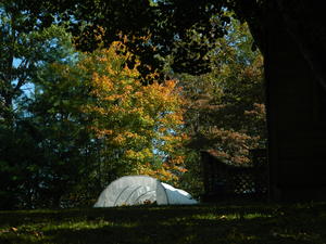 Fall colors in the backyard (Kristina's fall garden is under the white tent).