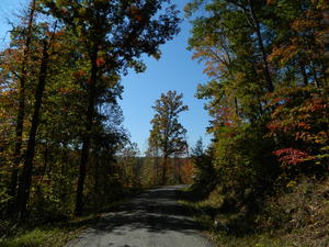 After Chad and Sarah's wedding (see next album for pictures), we stopped several times along the road to get pictures.