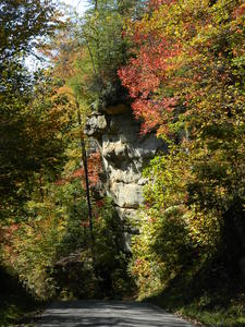 The colors were vibrant!