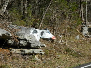 Another Roadside shot by Daniel--someone definitely had some imagination and creativity!