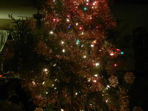 Sparkles of light! We LOVE this time of year! :)