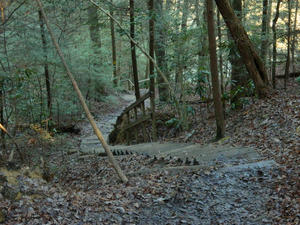 A few of the stairs on the Eagle Falls trail.