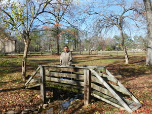 Kimberly on the old bridge in the back yard.