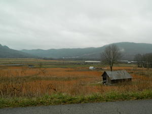 One of Daniel's views while out canvassing.