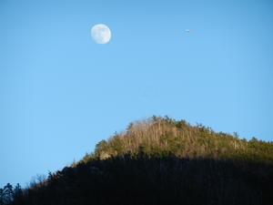 Moon and an airplane in the same shot!