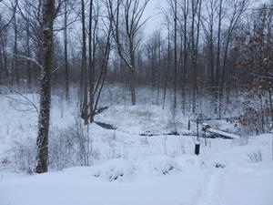 Our next adventure took us to Michigan with Daniel's parents, to visit Timothy and Andrew. We stayed with Kristina's Uncle John and Aunt Terri. This was their backyard the day we arrived.