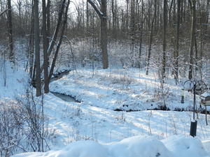 Sabbath morning dawned beautiful and sunny!