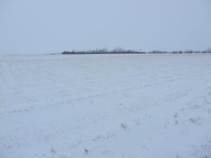 It brought back so many memories to see those snow-blown fields!