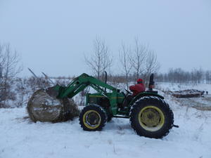 She enjoyed helping Gordon cut the bales for the cows again.