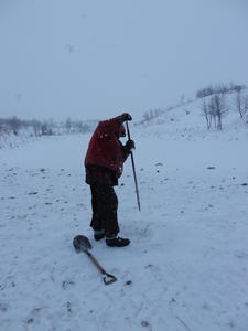 Gordon chipping the ice from the water hole for them to drink.