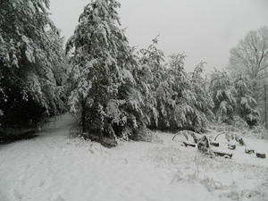 Our meadow/camp fire pit.