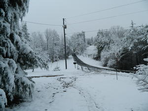 Looking down our driveway.
