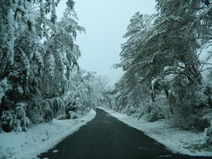 More views along our road.