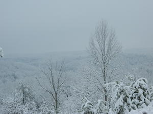 View from the top of our ridge.