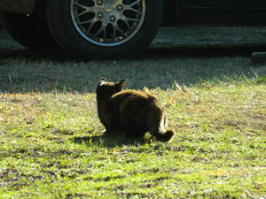 She's after something....