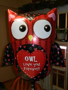 Valentine's day was the same day as a cooking class, but look what Daniel had waiting for Kristina when she got home that night! Her nickname for him is Owly, so he couldn't resist!