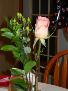 And he brought her a Rose!