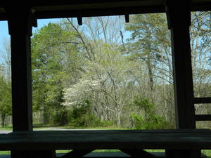 Scenic view through Yahoo Falls Picnic Shelter