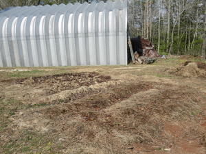 The strawberry patch, planted in November, waking up for spring growth.