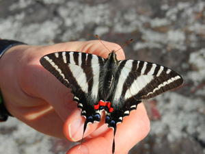 We weren't the only ones enjoying the sunshine. :)