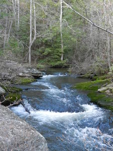 Pictures of the creek flowing by.