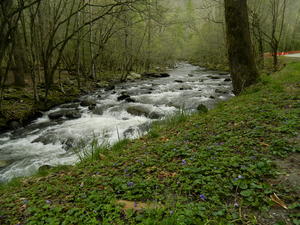 Another part of the river along the road.