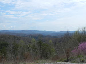 Redbuds bloom in the foreground, while the mountains slice the sky in the distance.