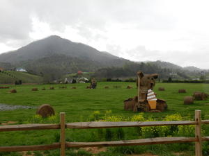 These strawbales were really cute!