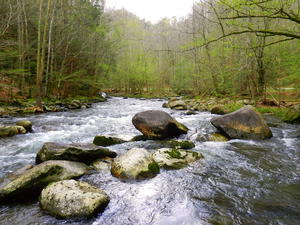 Kristina climbed out to the middle of the river for an interesting perspective.