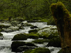 Another river along the road.