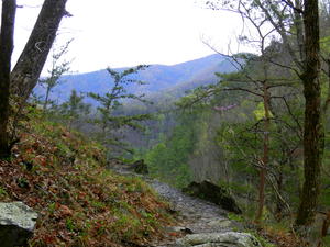 The mountain views along the way were SO pretty! There were still fall colors, plus fresh spring colors. It was so vibrant!