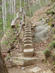 An interesting staircase along the trail--made of one long tree.