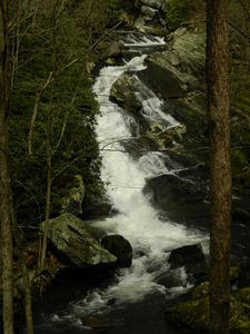 The Lynn Camp Prong Cascades--view from a bench on the trail.