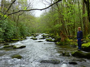 Daniel standing on the river's edge for some depth perception.