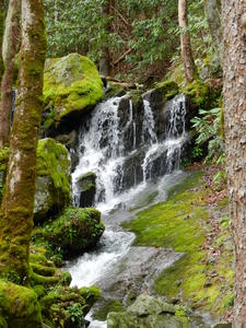 A roadside cascade.