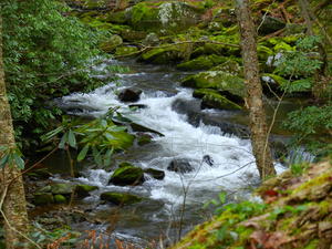 The Lynn Camp Prong (creek) along the way.